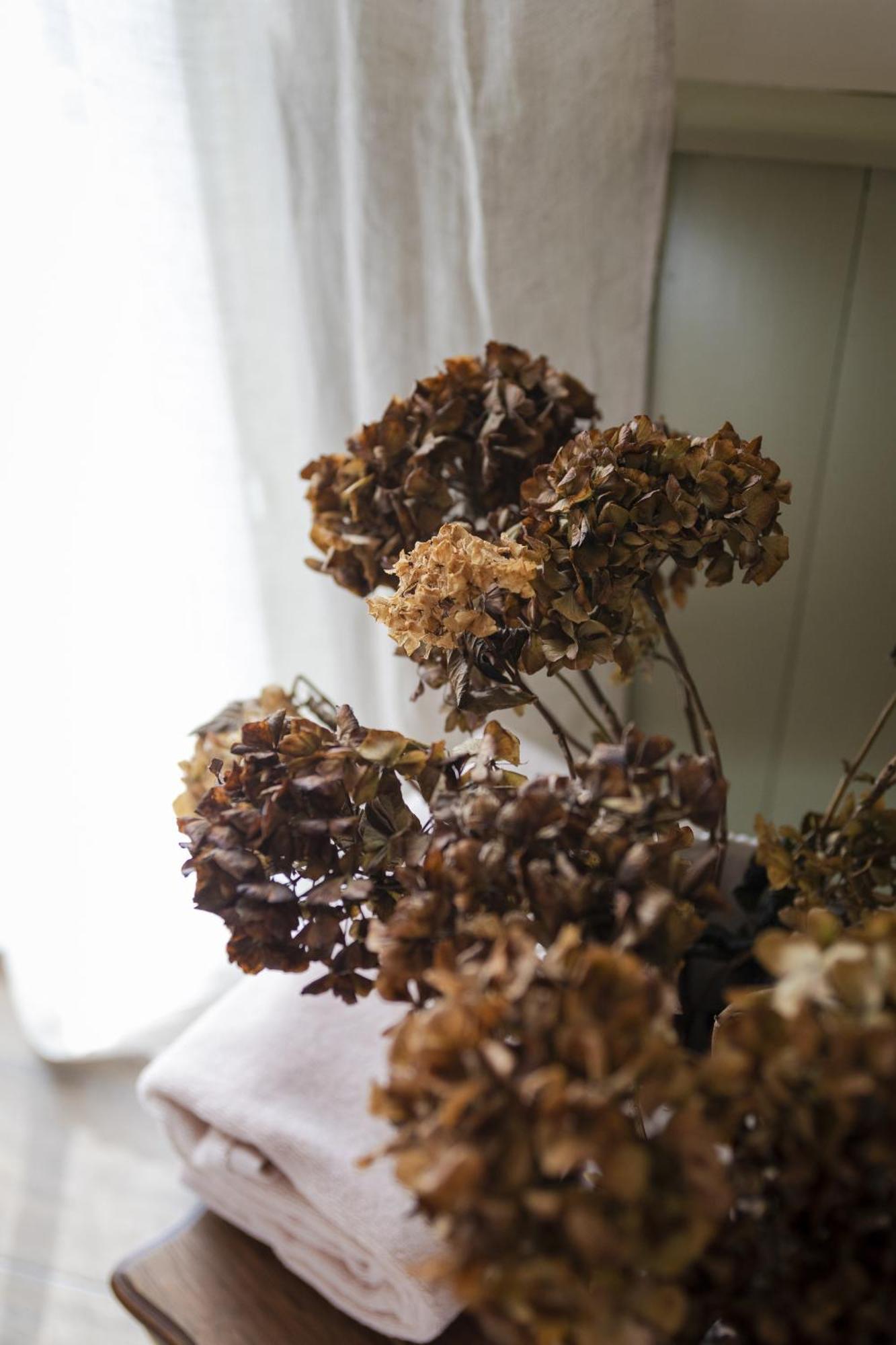 Le Jardin, Chambres D'Hotes En Baie De Somme Cahon エクステリア 写真