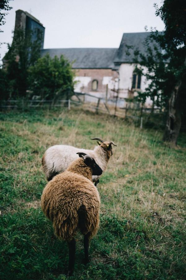 Le Jardin, Chambres D'Hotes En Baie De Somme Cahon エクステリア 写真