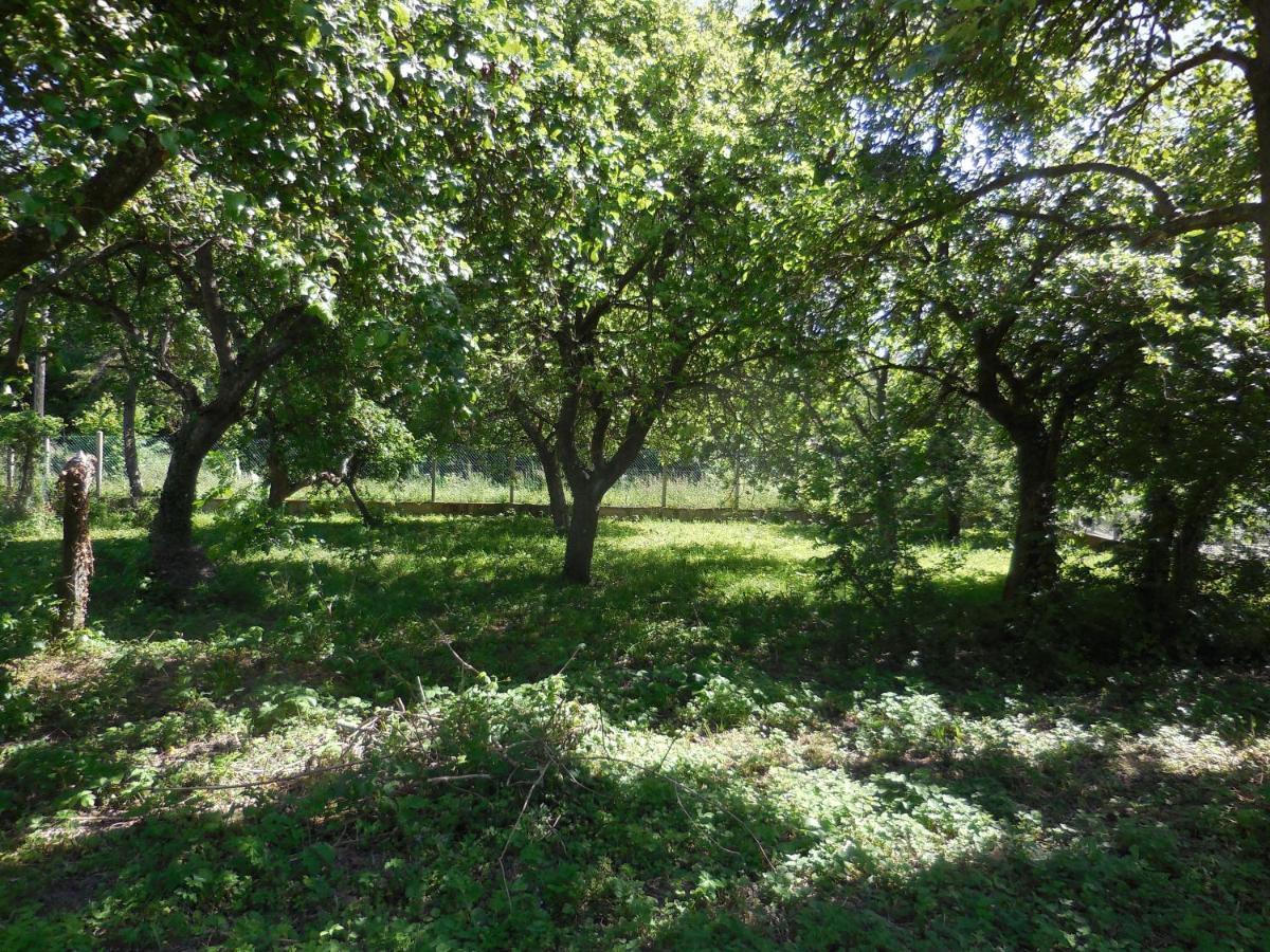 Le Jardin, Chambres D'Hotes En Baie De Somme Cahon エクステリア 写真